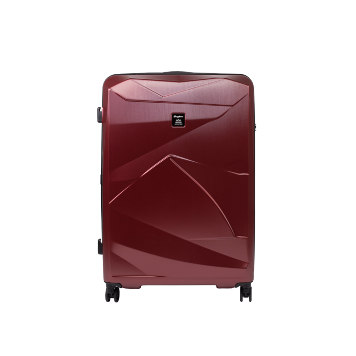 Alpine Luggage Large